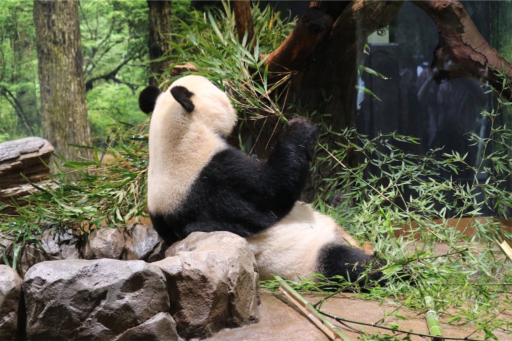 f:id:coden:20221005181644j:image f:id:coden:20221005181644j:image