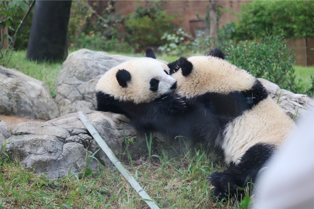 f:id:coden:20221005181656j:image f:id:coden:20221005181656j:image