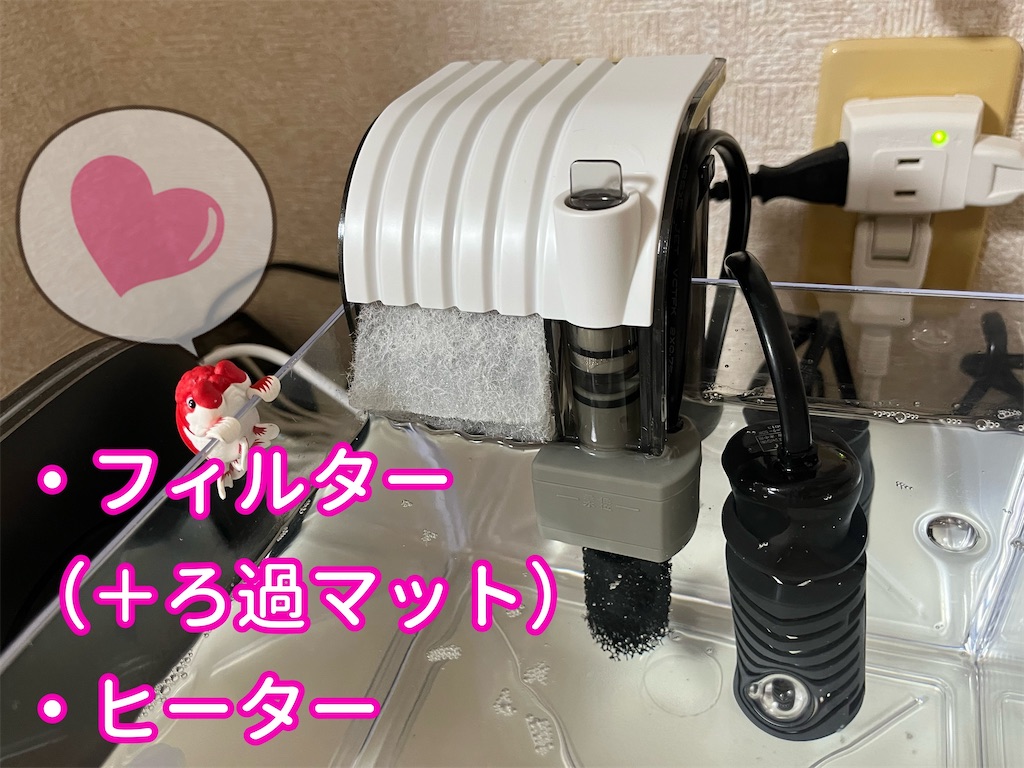 f:id:coden:20221019134943j:image f:id:coden:20221019134943j:image