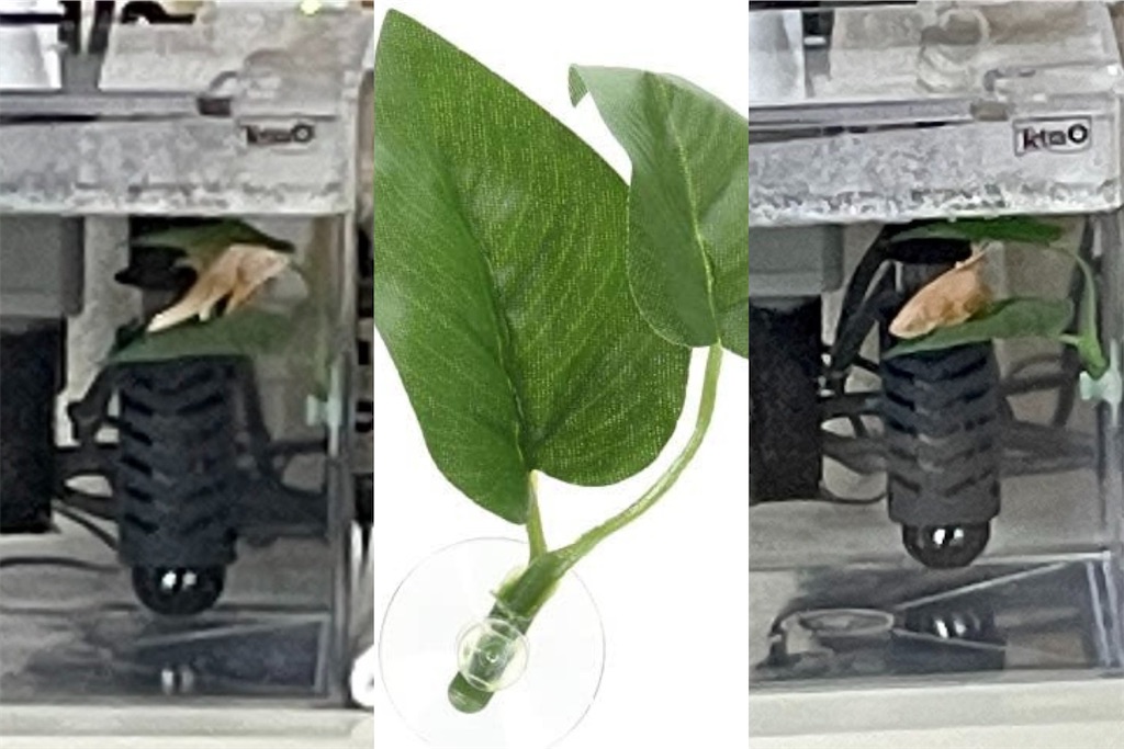 f:id:coden:20221019135051j:image f:id:coden:20221019135051j:image