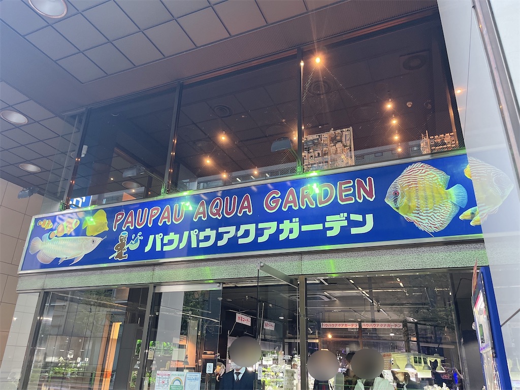 f:id:coden:20221118181701j:image