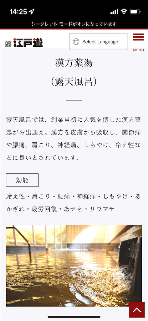 f:id:coden:20221222142723p:image
