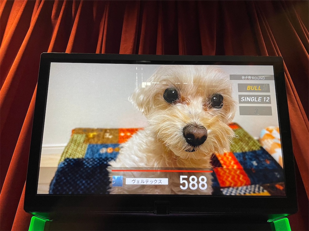 f:id:coden:20230129123437j:image f:id:coden:20230129123437j:image