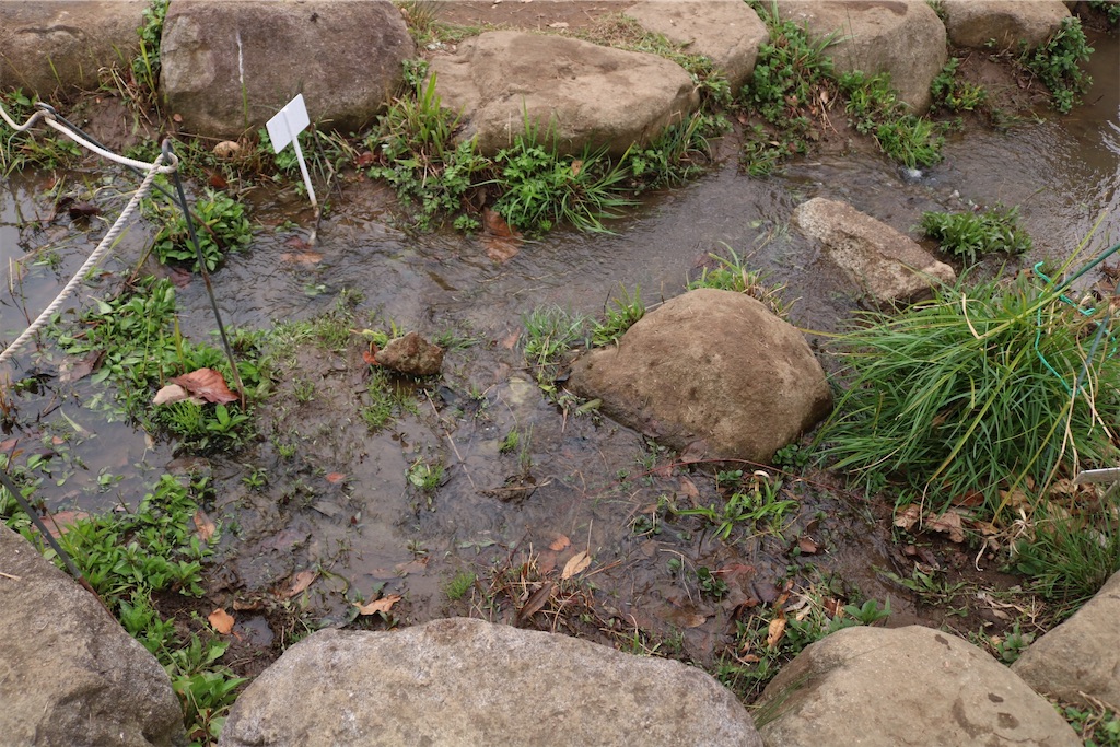 f:id:coden:20230322154116j:image f:id:coden:20230322154116j:image