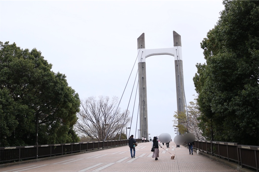 f:id:coden:20230322154140j:image f:id:coden:20230322154140j:image