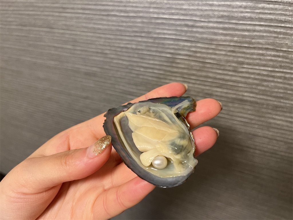 f:id:coden:20230506080927j:image f:id:coden:20230506080927j:image