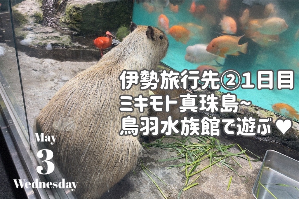 f:id:coden:20230506173214j:image f:id:coden:20230506173214j:image