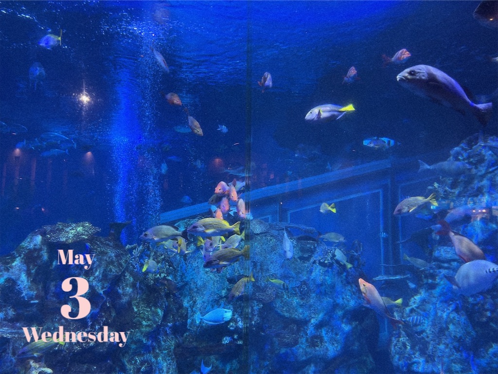 f:id:coden:20230506173217j:image f:id:coden:20230506173217j:image