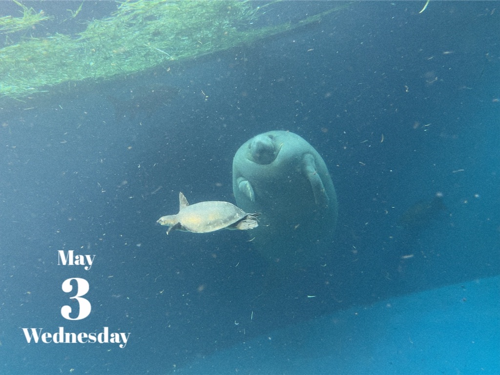 f:id:coden:20230506173233j:image f:id:coden:20230506173233j:image