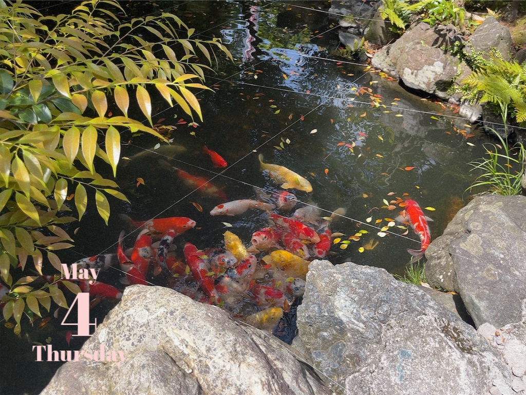 f:id:coden:20230506174556j:image f:id:coden:20230506174556j:image