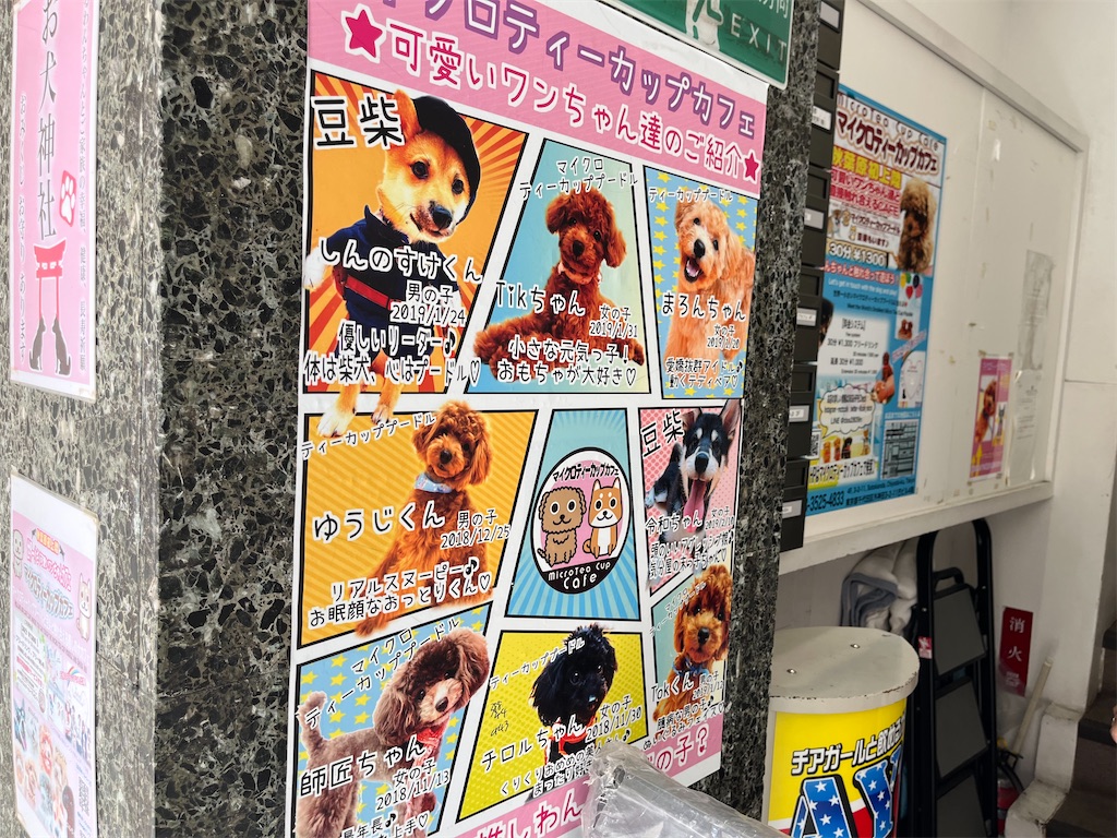 f:id:coden:20230730151407j:image