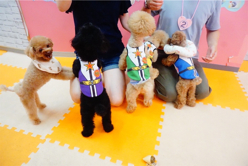 f:id:coden:20230730151426j:image