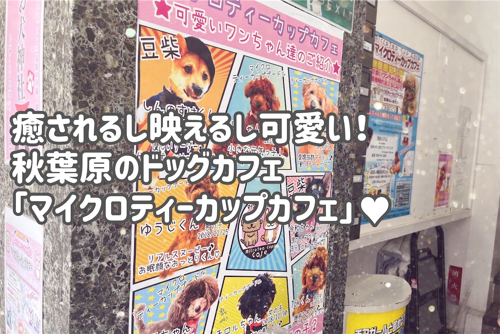 f:id:coden:20230730151429j:image