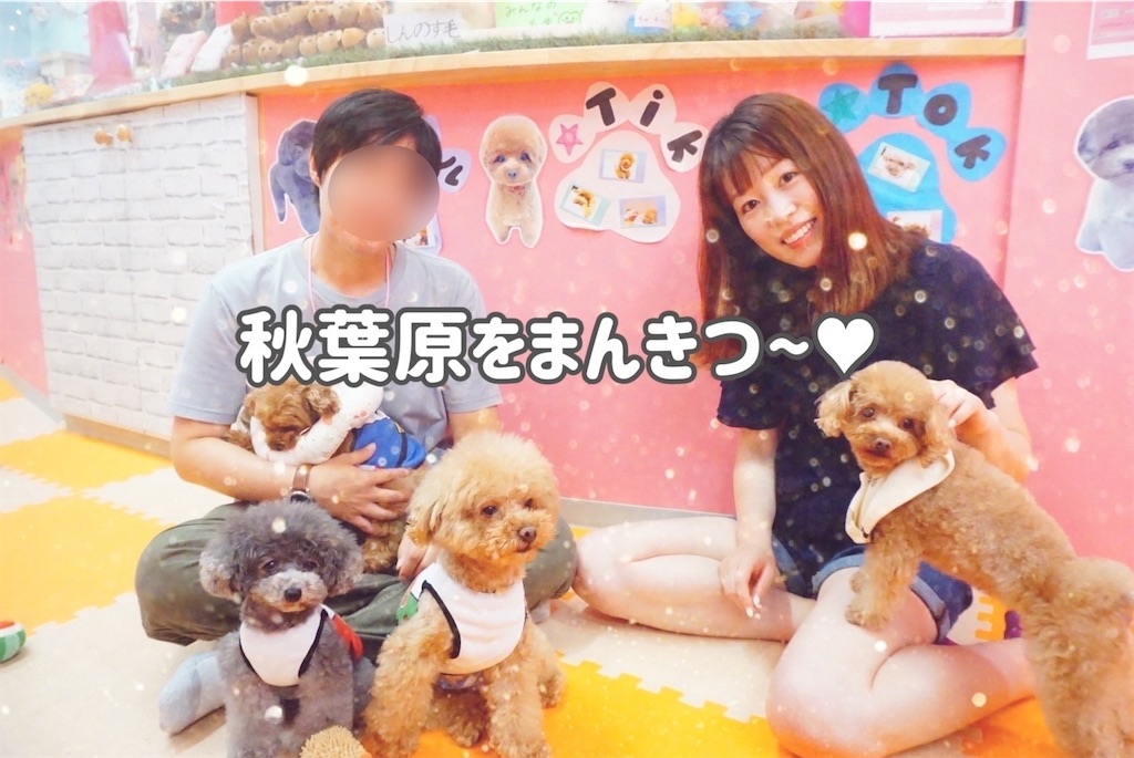 f:id:coden:20230806154542j:image f:id:coden:20230806154542j:image