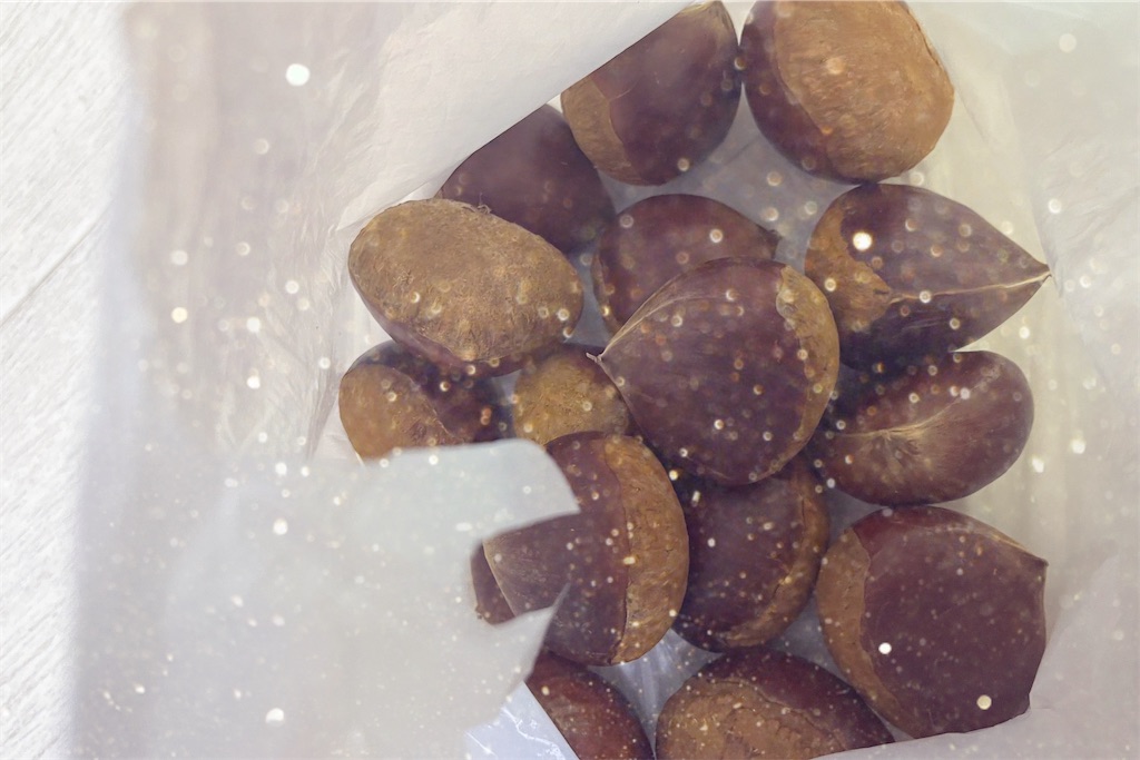 f:id:coden:20231106150047j:image f:id:coden:20231106150047j:image