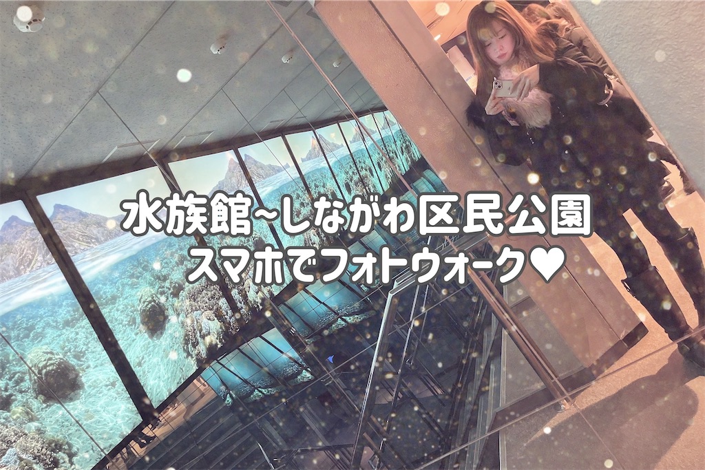 f:id:coden:20240122152044j:image f:id:coden:20240122152044j:image