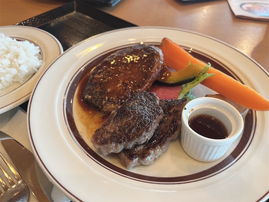 f:id:coden:20240122152053j:image f:id:coden:20240122152053j:image