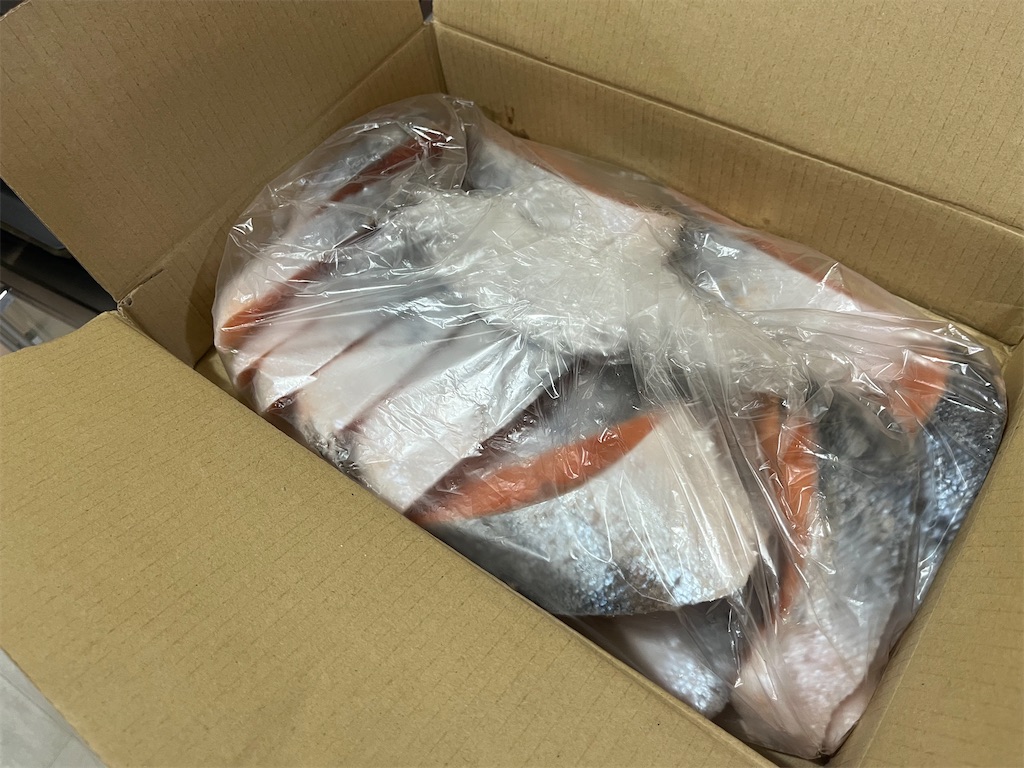 f:id:coden:20240128150608j:image f:id:coden:20240128150608j:image