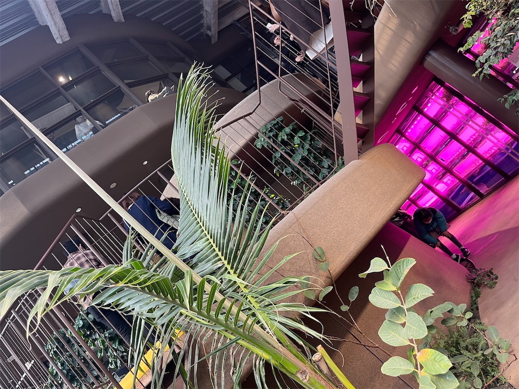 f:id:coden:20240216203011j:image