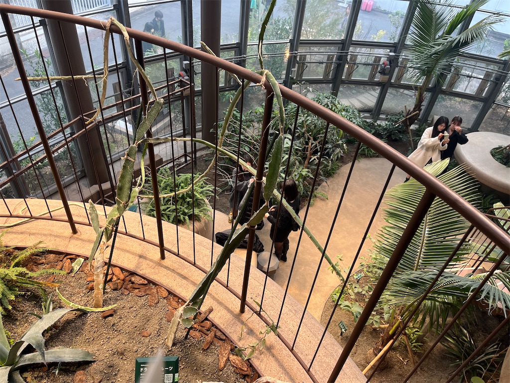 f:id:coden:20240216203014j:image