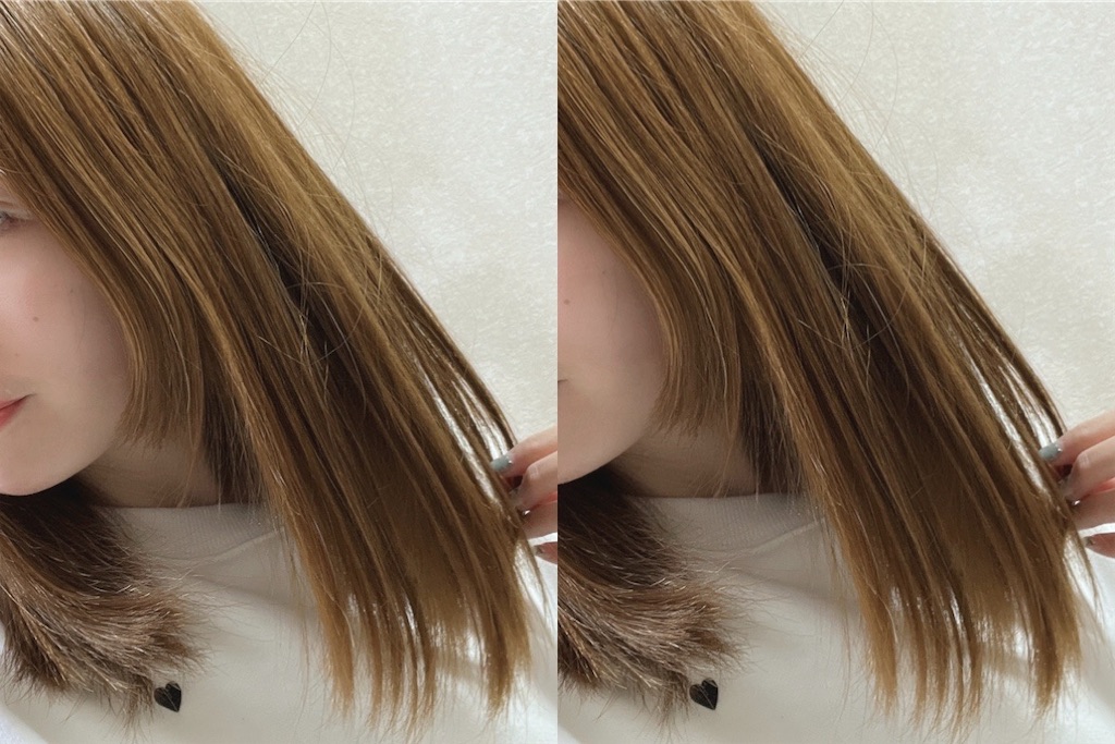 f:id:coden:20240219151113j:image f:id:coden:20240219151113j:image