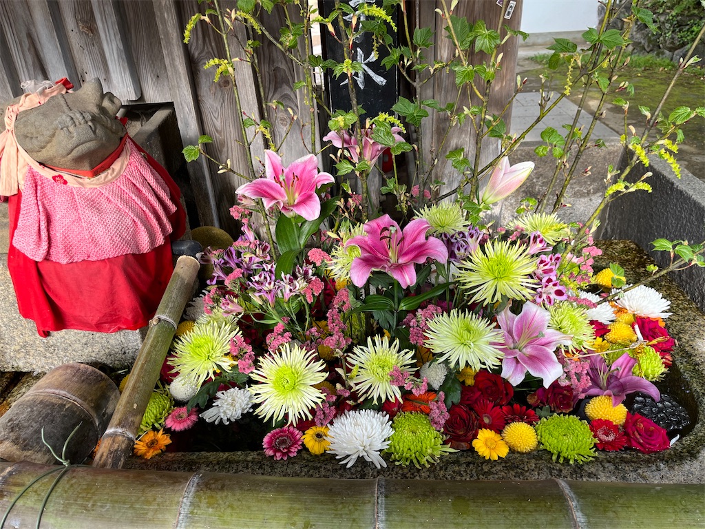 f:id:coden:20240501211514j:image f:id:coden:20240501211514j:image