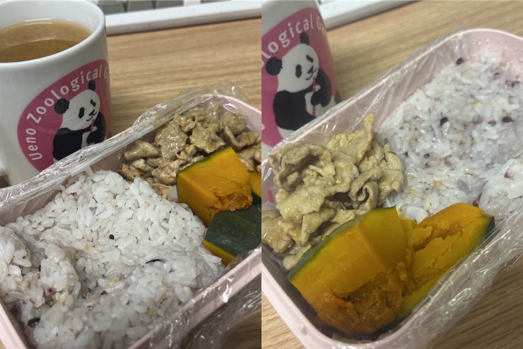 f:id:coden:20241025140910j:image f:id:coden:20241025140910j:image