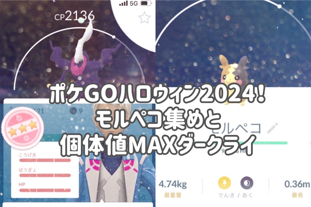 f:id:coden:20241029132005j:image