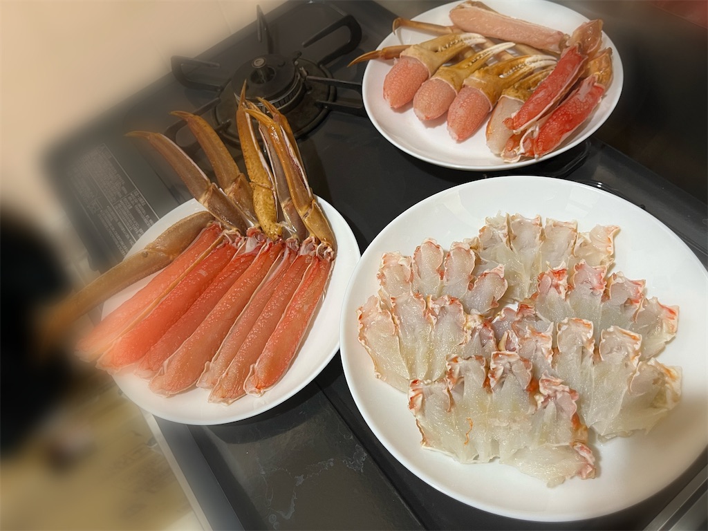 f:id:coden:20241210150529j:image