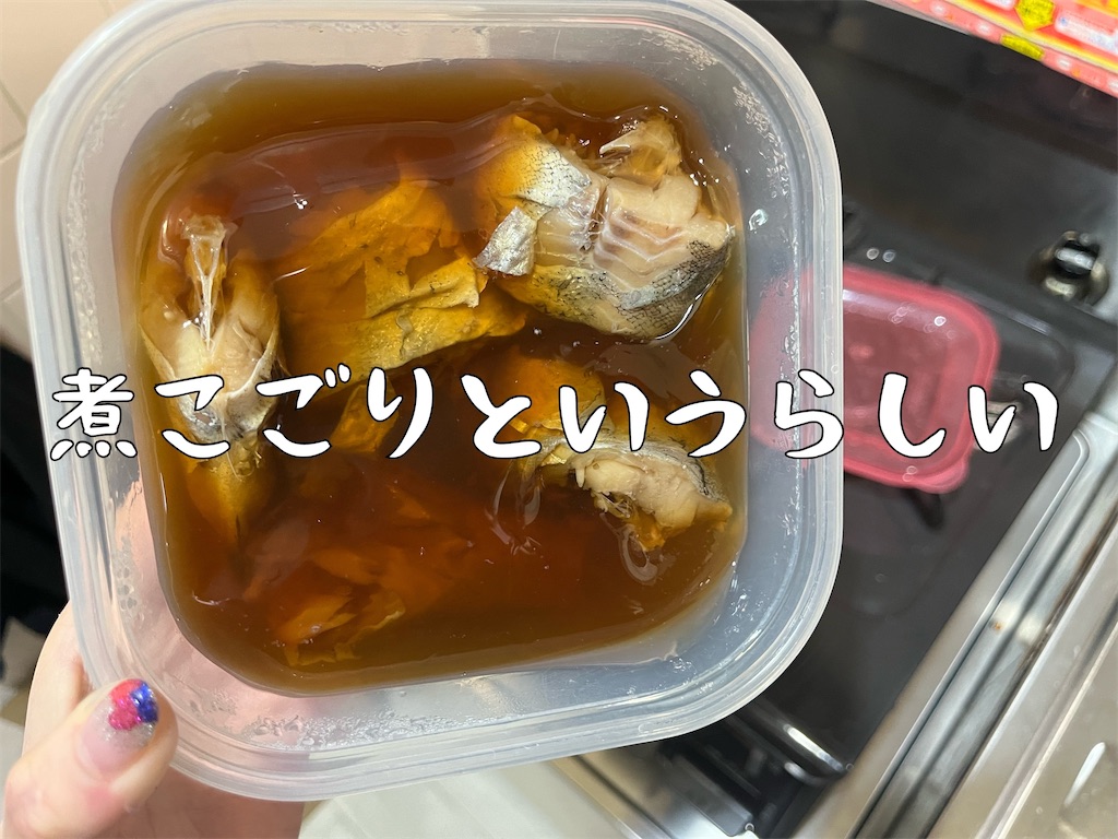 f:id:coden:20250114075922j:image