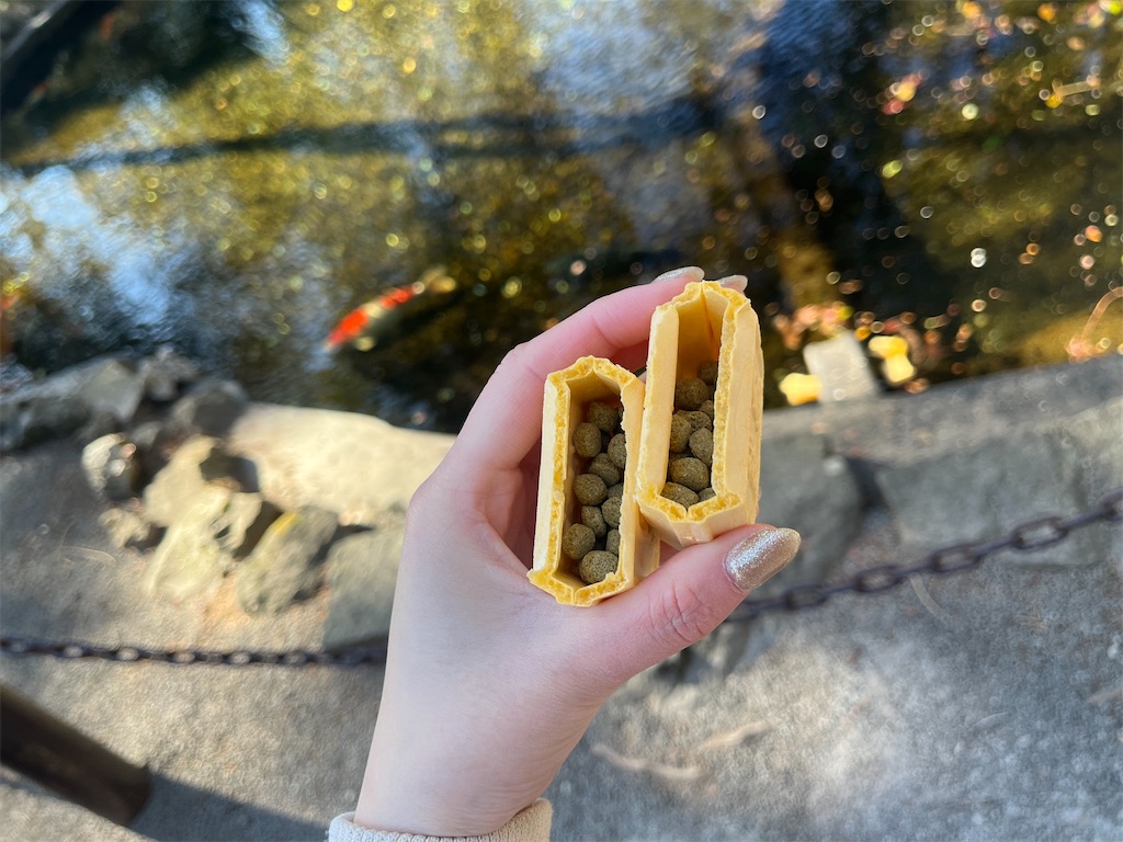 f:id:coden:20250209172205j:image