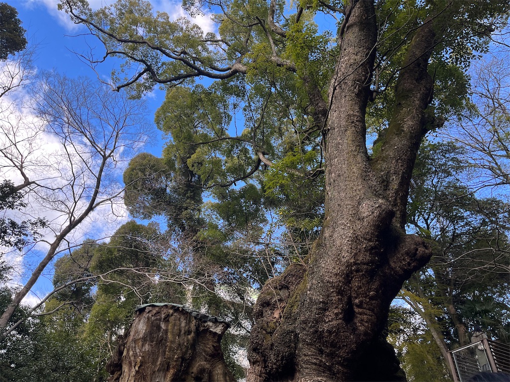 f:id:coden:20250209172643j:image f:id:coden:20250209172643j:image