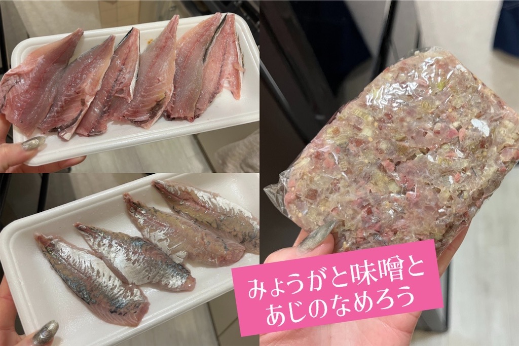 f:id:coden:20250511135627j:image f:id:coden:20250511135627j:image