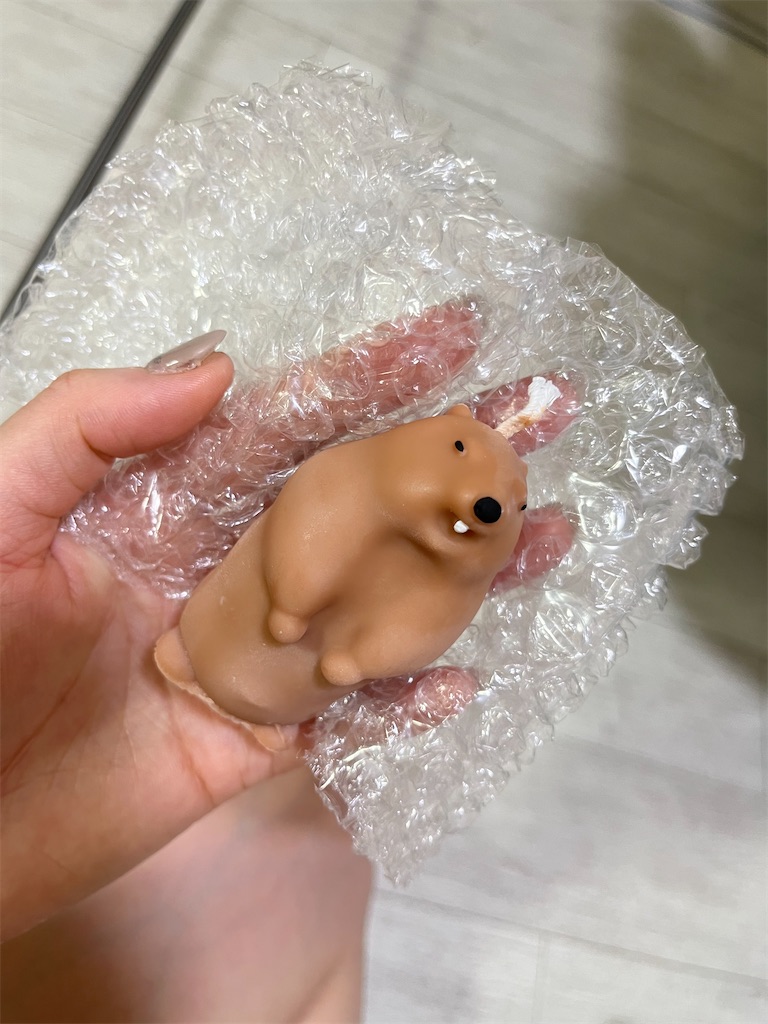 f:id:coden:20250607135049j:image