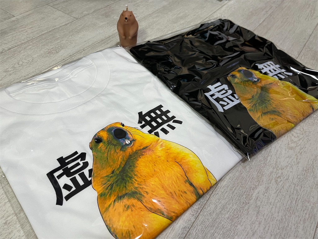 f:id:coden:20250607135053j:image