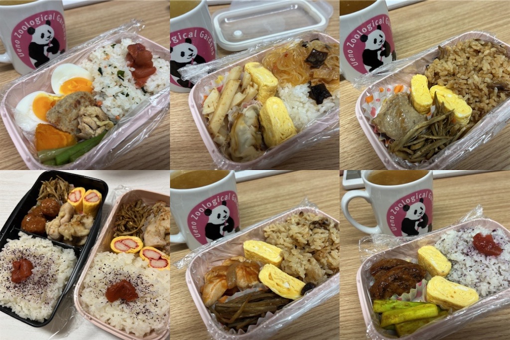 f:id:coden:20250711142955j:image