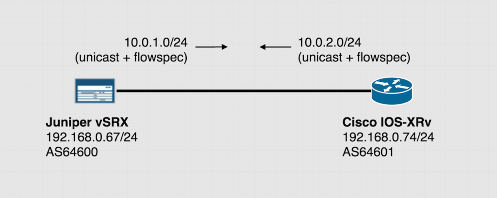 testing network