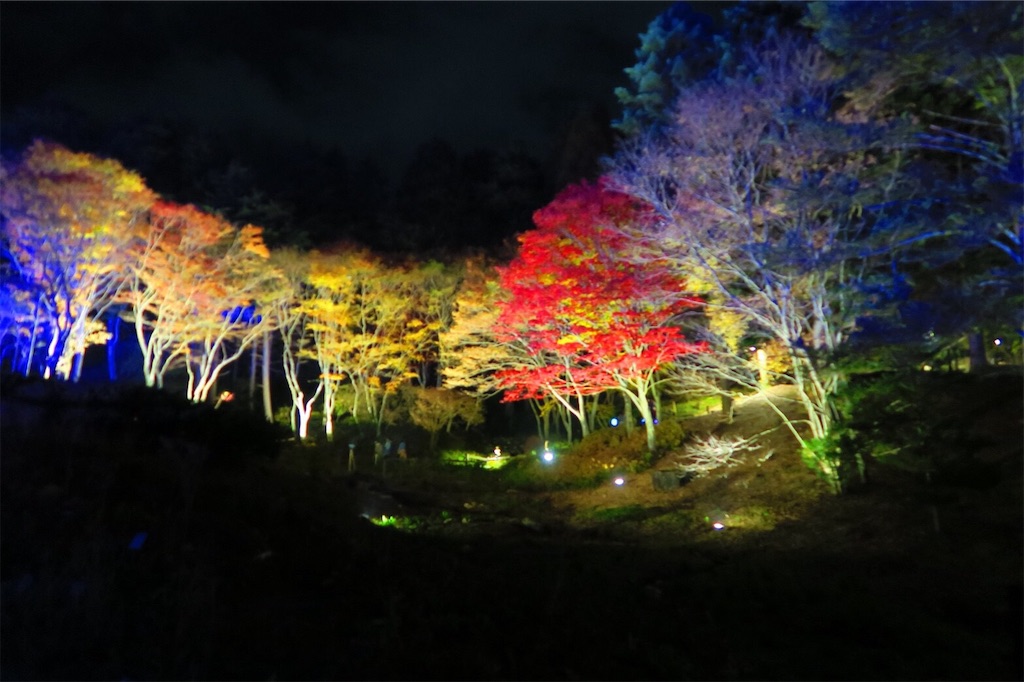 f:id:codyrun:20181105220141j:image f:id:codyrun:20181105220141j:image