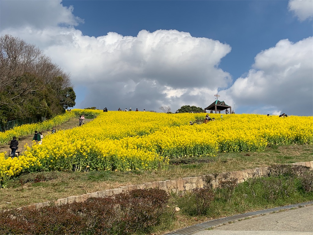 f:id:codyrun:20200316063739j:image