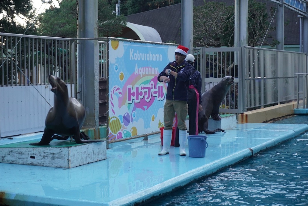 f:id:codyrun:20220102231859j:image f:id:codyrun:20220102231859j:image