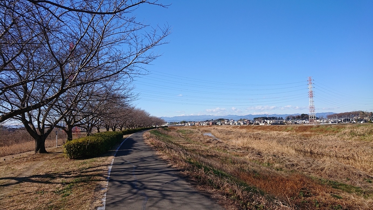 f:id:coedowalk:20210102211151j:plain