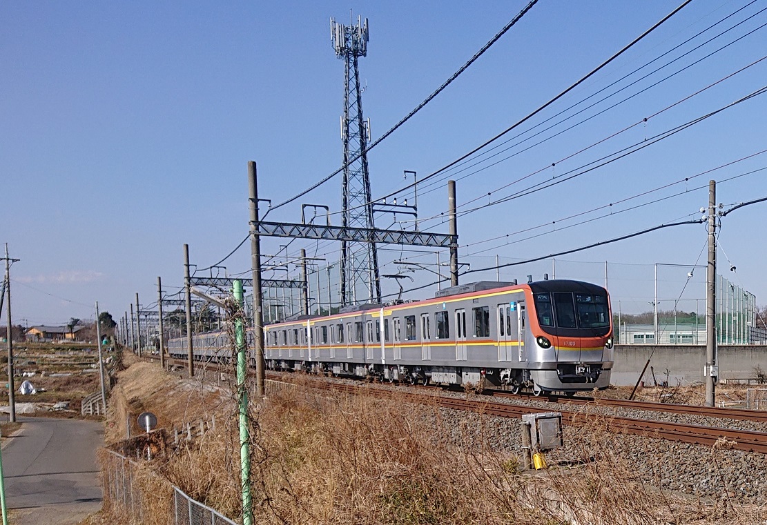 f:id:coedowalk:20210327184124j:plain