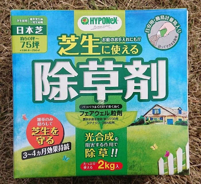 f:id:coedowalk:20210404162705j:plain