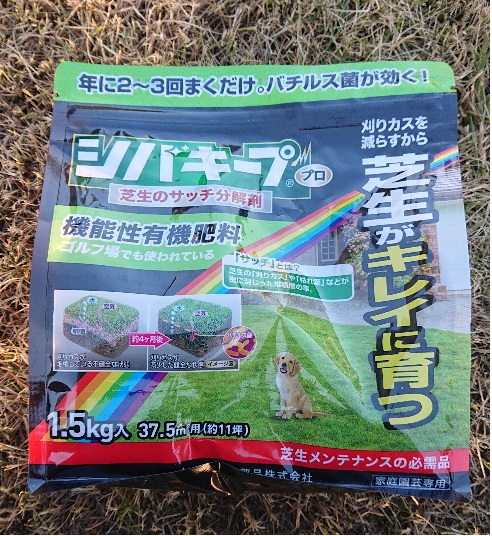 f:id:coedowalk:20210411172445j:plain