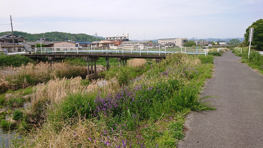 f:id:coedowalk:20210424184102j:plain