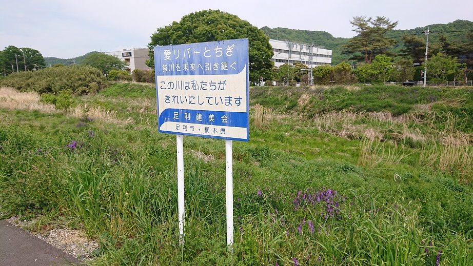 f:id:coedowalk:20210424184128j:plain