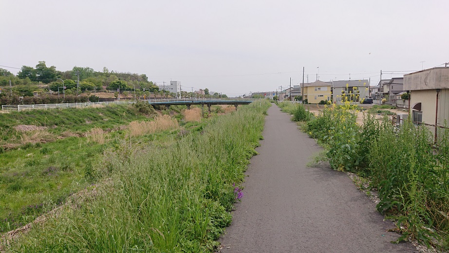 f:id:coedowalk:20210424184145j:plain