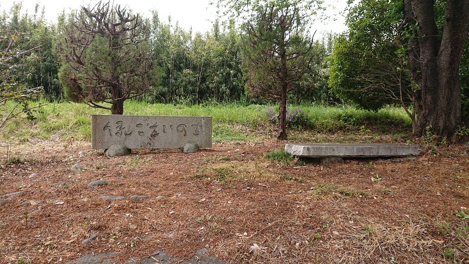 f:id:coedowalk:20210424184229j:plain