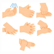 f:id:coedowalk:20210518182349j:plain