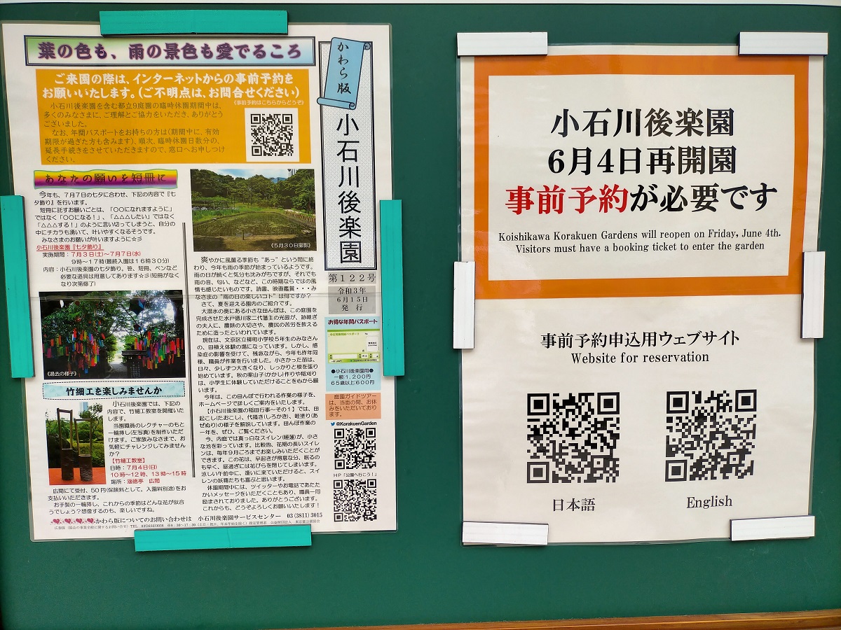 f:id:coedowalk:20210623163531j:plain